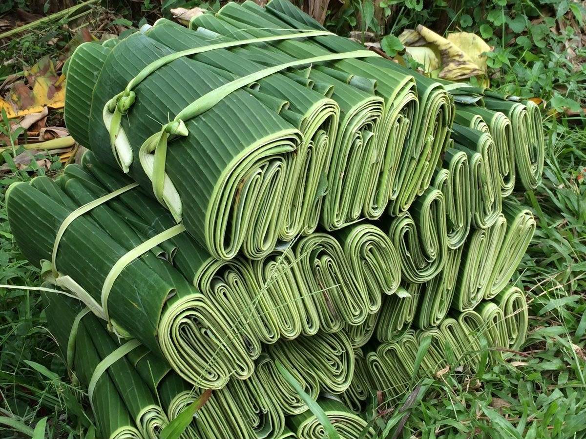 Banana Leaf